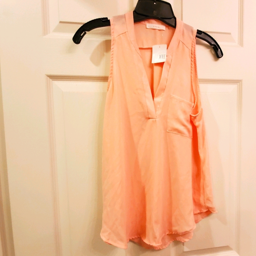 Lush V-Neck Semi-Sheer Sleeveless Top